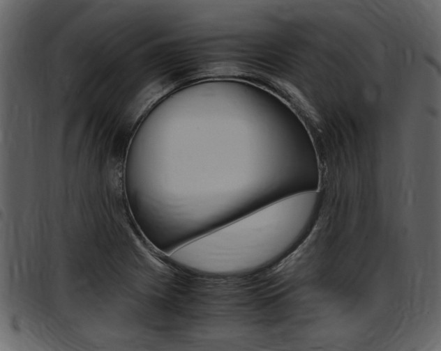 X0000097641225200802290814