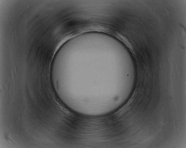 X0000097641226200802290814