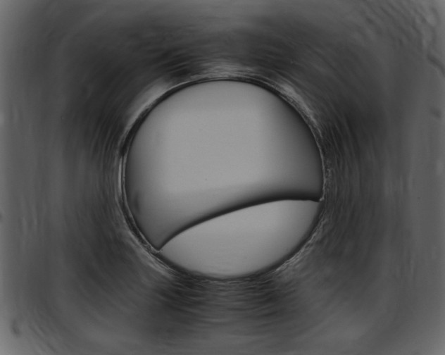 X0000097641227200802290814