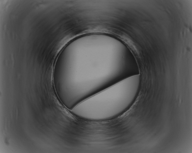 X0000097641228200802290814