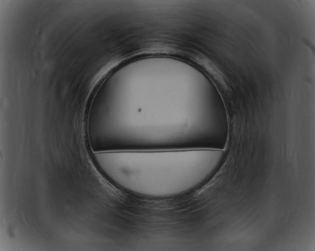 X0000097641229200802290814