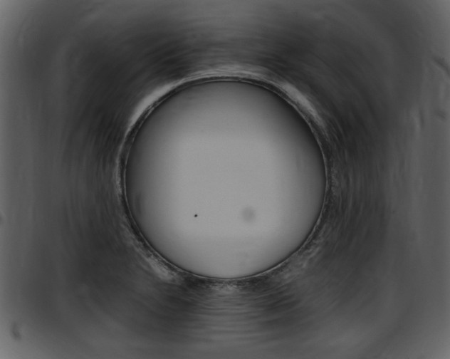 X0000097641230200802290814