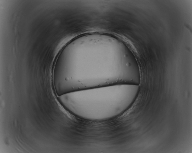 X0000097641231200802290814