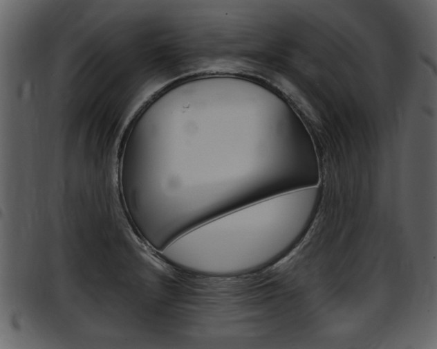 X0000097641232200802290814