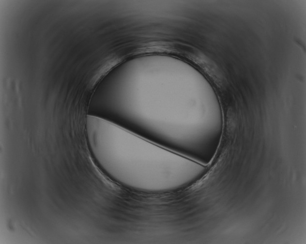 X0000097641233200802290814