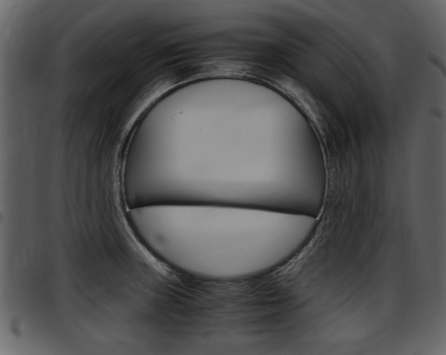 X0000097641235200802290814