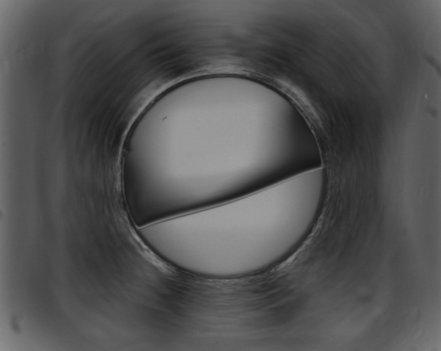 X0000097641236200802290814