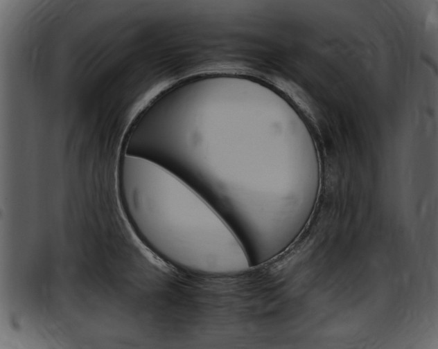 X0000097641237200802290814