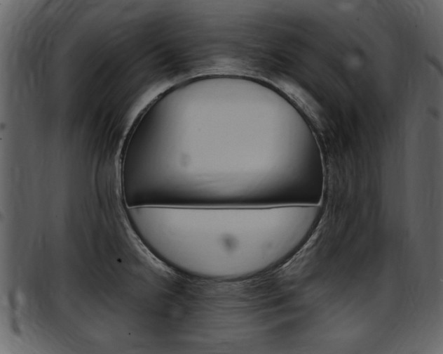 X0000097641238200802290814