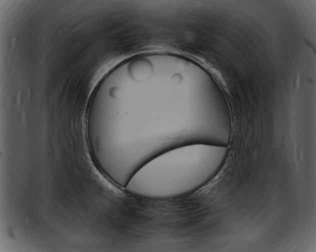 X0000097641239200802290814