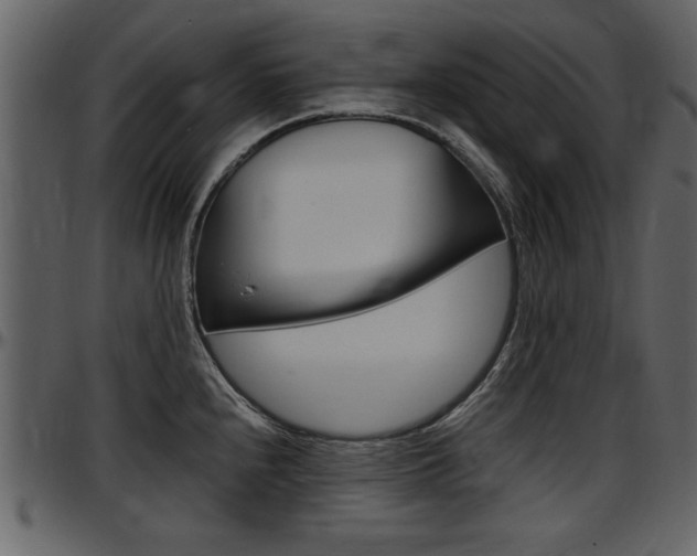 X0000097641240200802290814