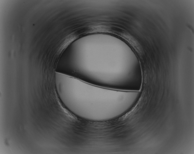 X0000097641241200802290814