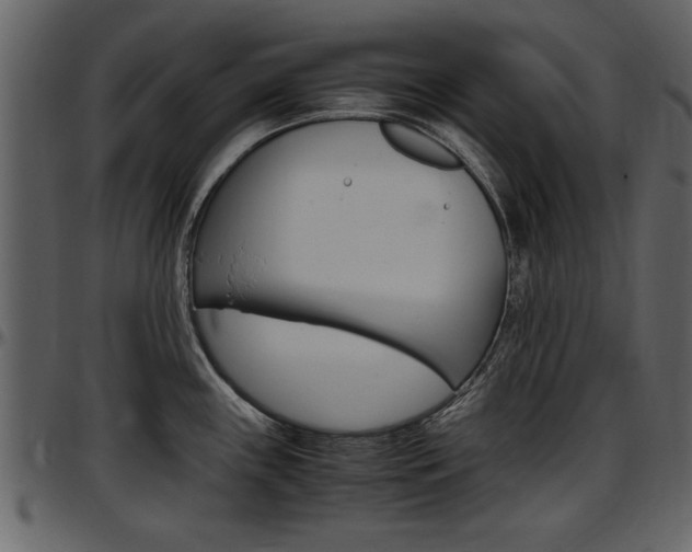 X0000097641243200802290814