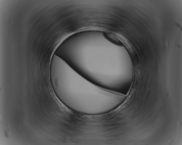 X0000097641244200802290814