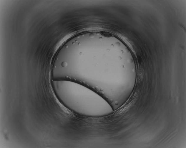 X0000097641245200802290815