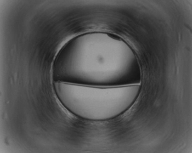 X0000097641246200802290815
