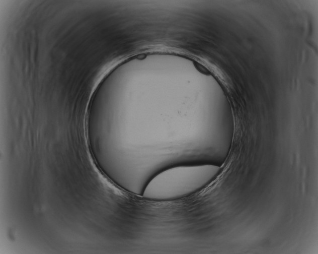 X0000097641247200802290815