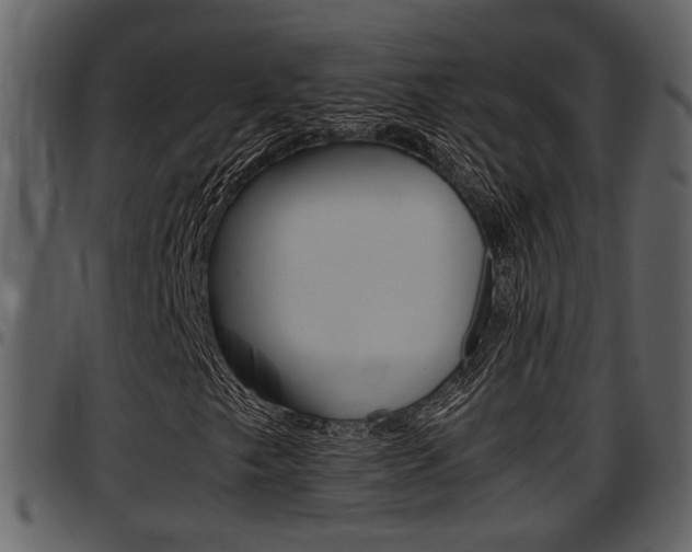 X0000097641249200802290814