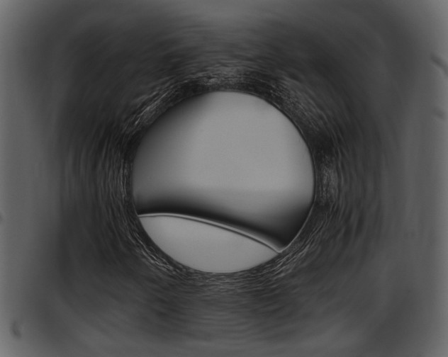 X0000097641250200802290814