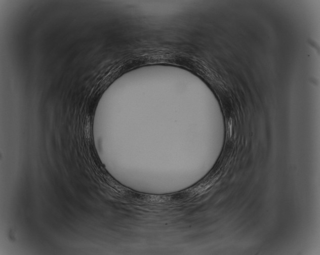 X0000097641251200802290814