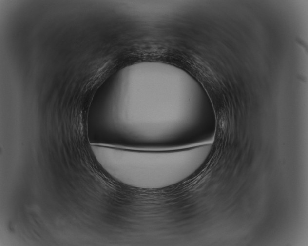 X0000097641252200802290814