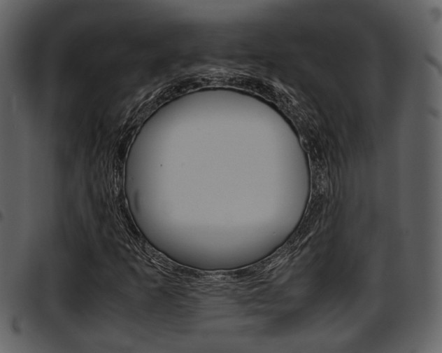 X0000097641253200802290814
