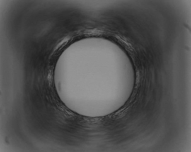 X0000097641254200802290814