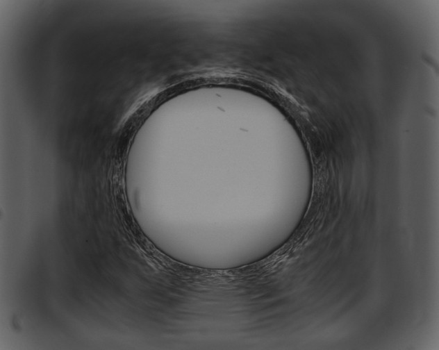 X0000097641255200802290814