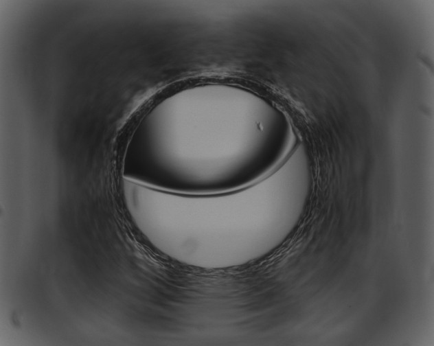 X0000097641256200802290814