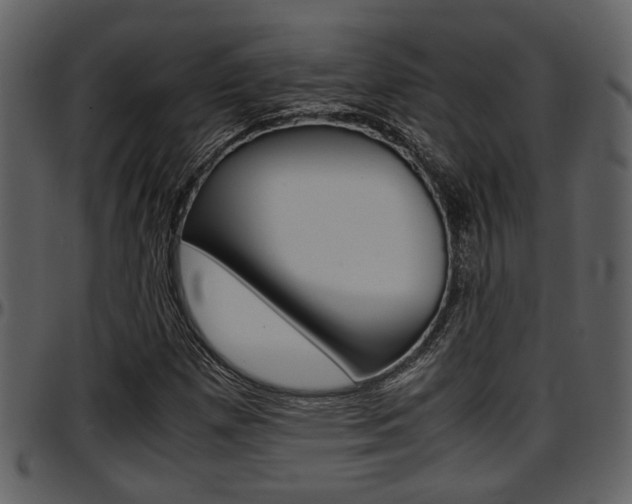 X0000097641257200802290814