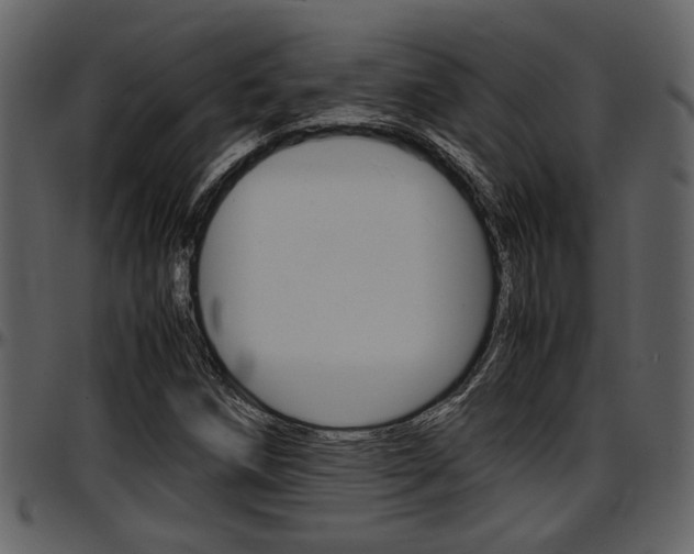 X0000097641258200802290814