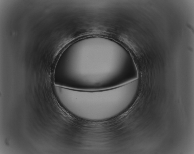 X0000097641260200802290814