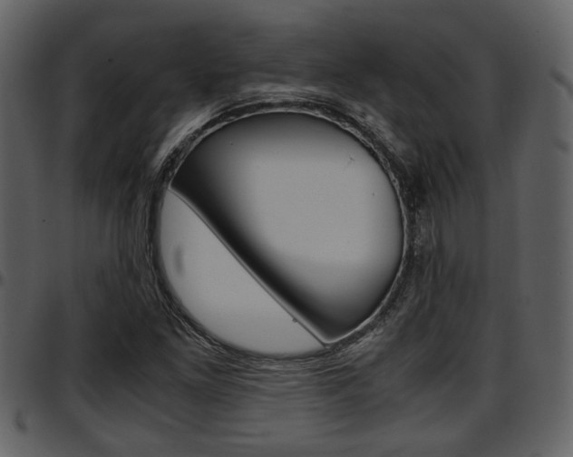 X0000097641261200802290814