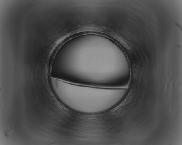 X0000097641264200802290814