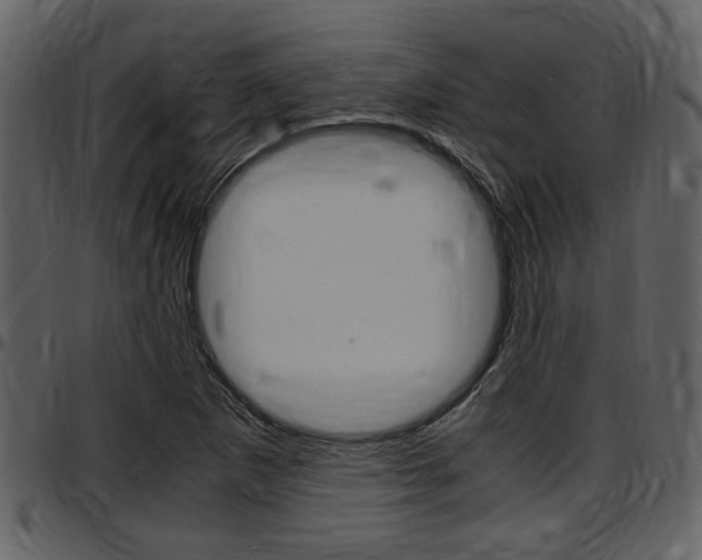 X0000097641265200802290813