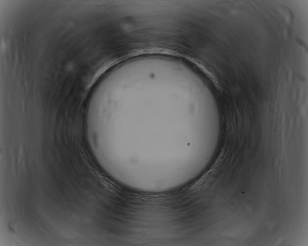 X0000097641266200802290813