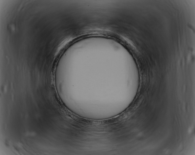 X0000097641267200802290813