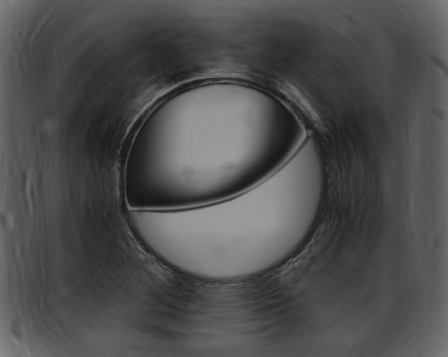 X0000097641268200802290813