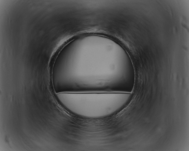 X0000097641270200802290813