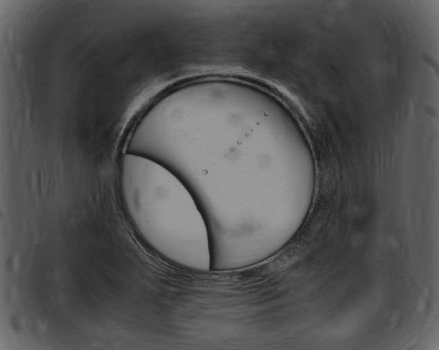 X0000097641271200802290813