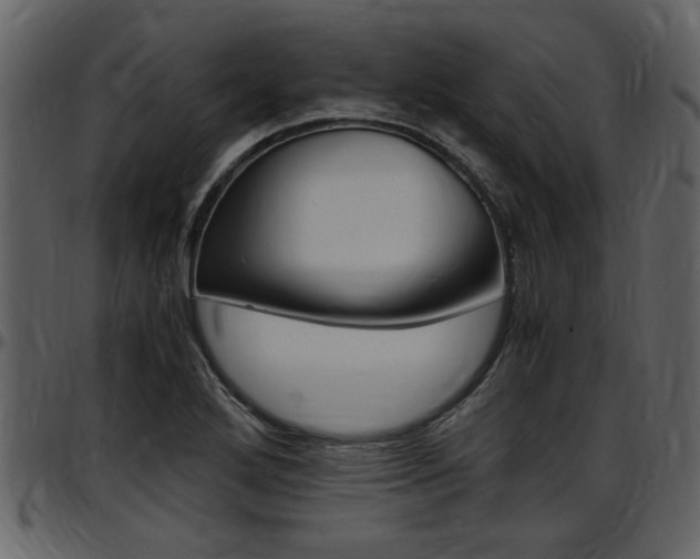 X0000097641272200802290813