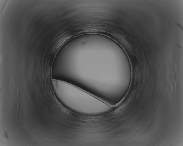 X0000097641273200802290813
