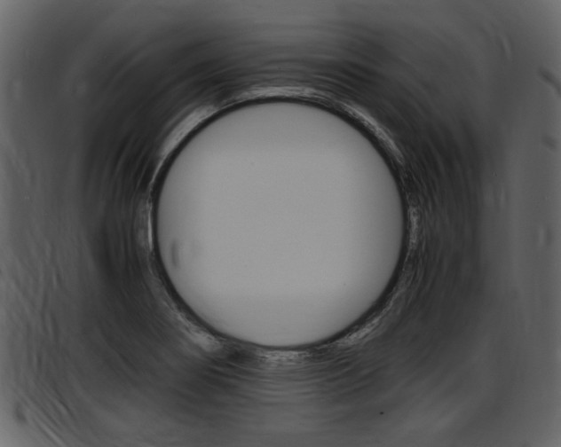 X0000097641274200802290813
