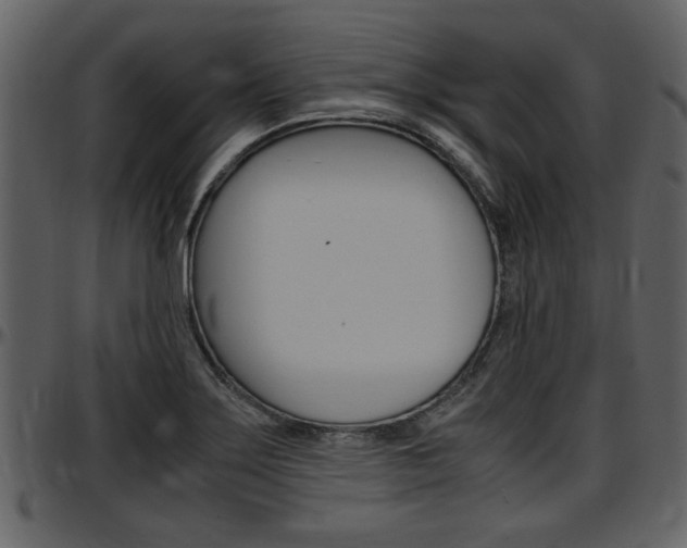 X0000097641275200802290813