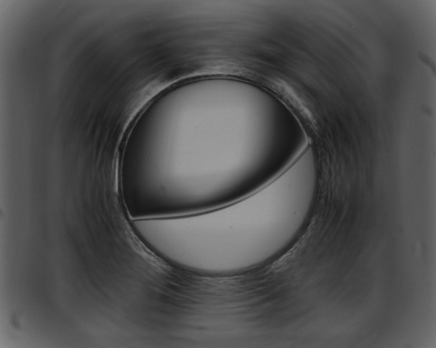 X0000097641276200802290813