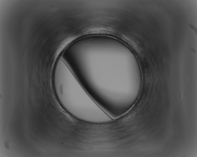 X0000097641277200802290813