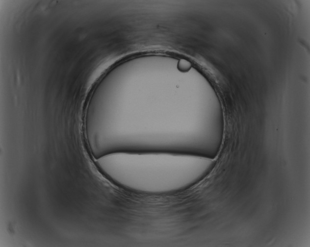X0000097641279200802290813