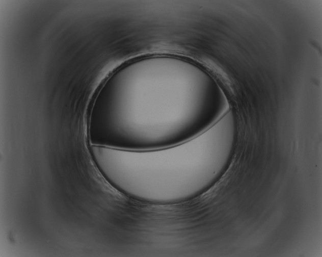 X0000097641280200802290813