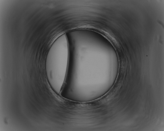 X0000097641281200802290813