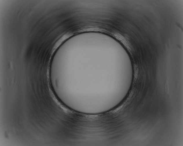 X0000097641282200802290813